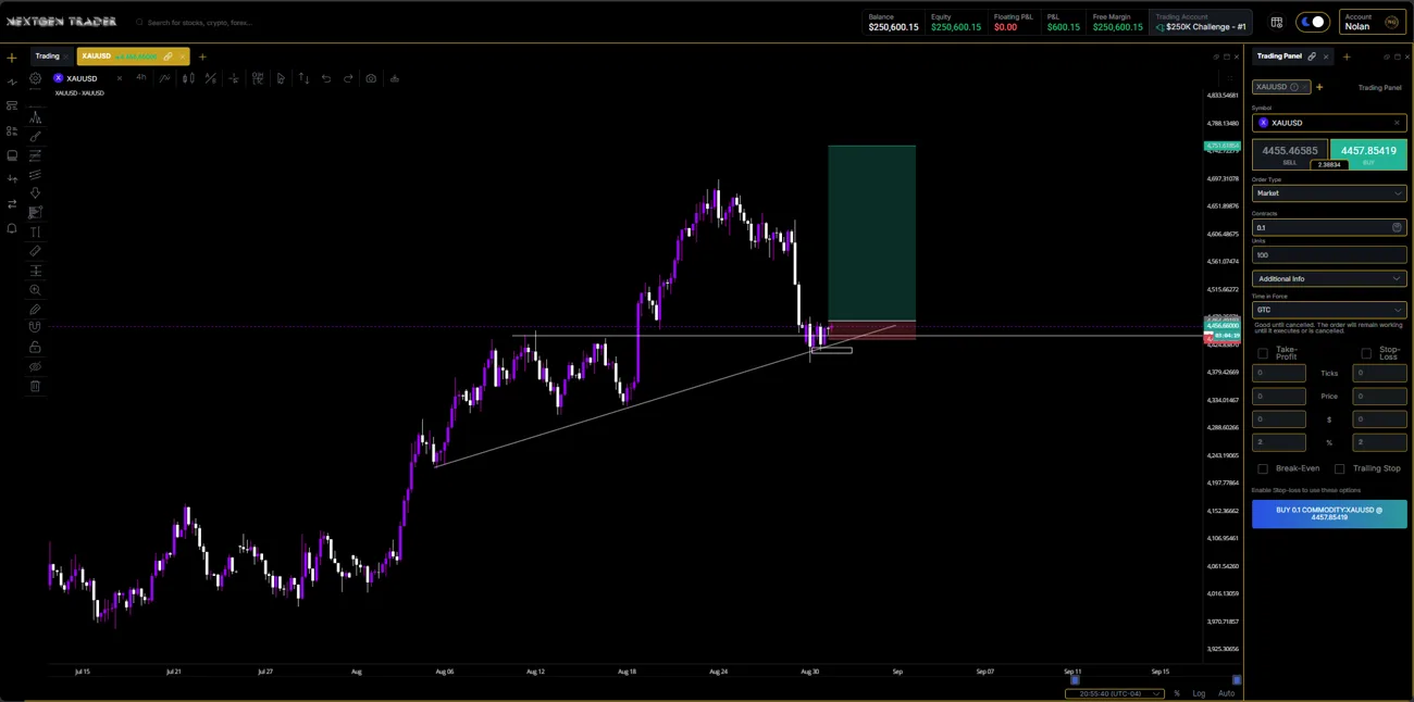 NextGen Trader platform view 3